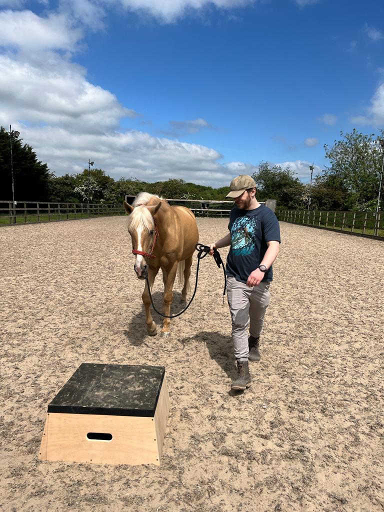 kellengoff's tweet photo. I met Marta honse!!

His name Urano but I call him Binky :) He's a cheeky one https://t.co/tSuOZJfXbt