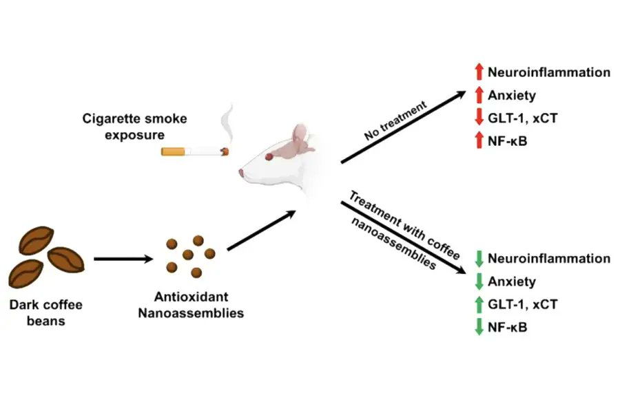 Improbable Research tweet media