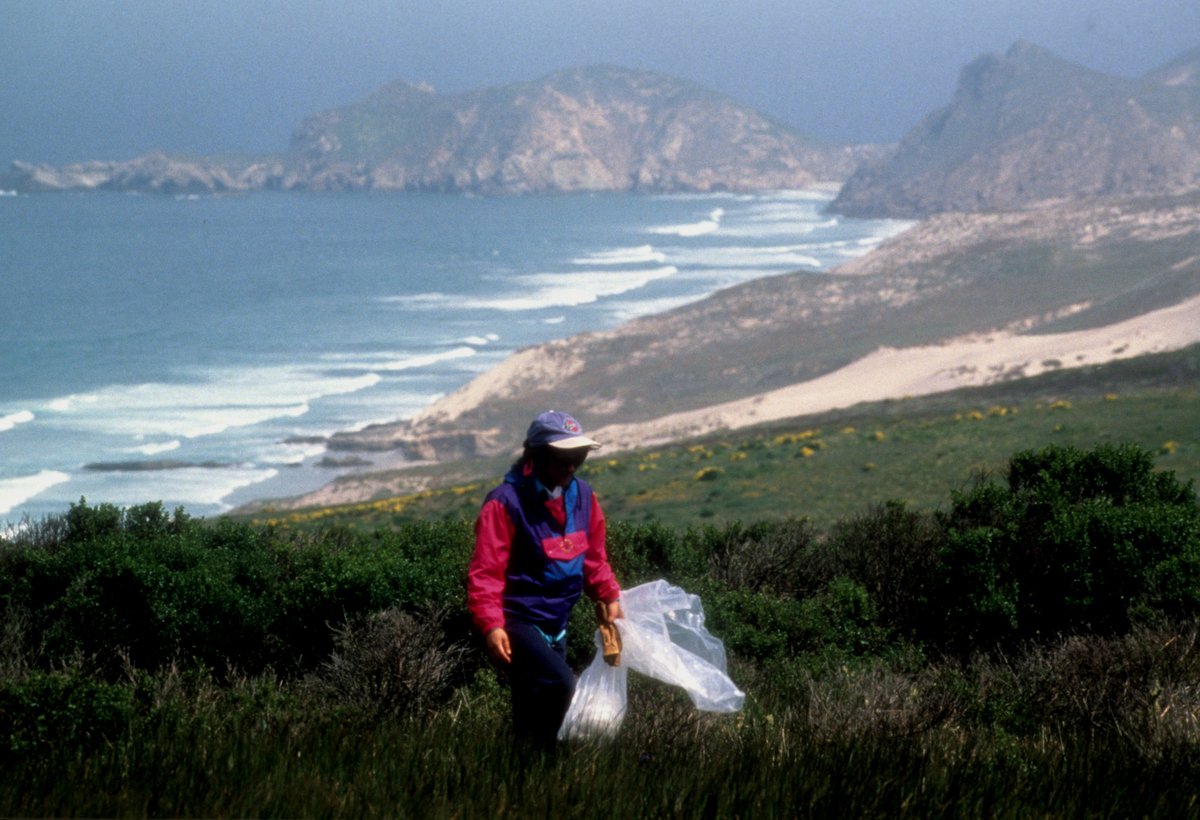 wnpa1938's tweet photo. #nationalparks and park staff have always been at the forefront of the movement to preserve our planet’s beauty and resources. On #WorldEnvironmentDay, we salute all the dedicated people who have made our #nationalparks system what it is. #recreateresponsibly #optoutside https://t.co/CloC6hXdoF