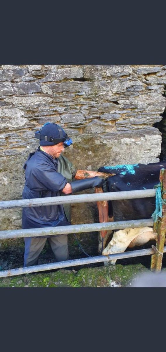 Patrick Mc Carthy tweet media