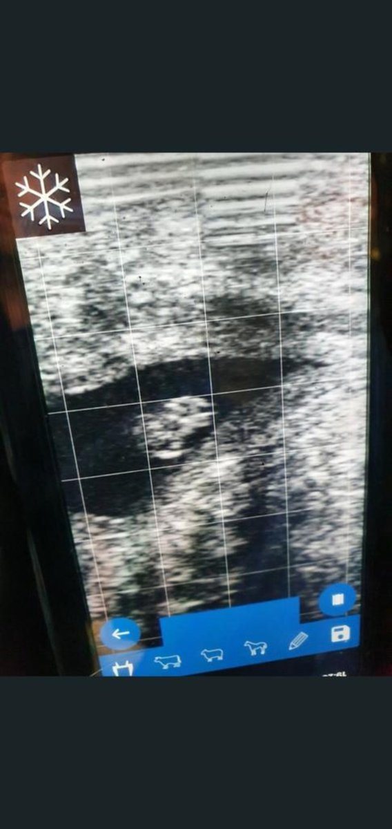 Patrick Mc Carthy tweet media