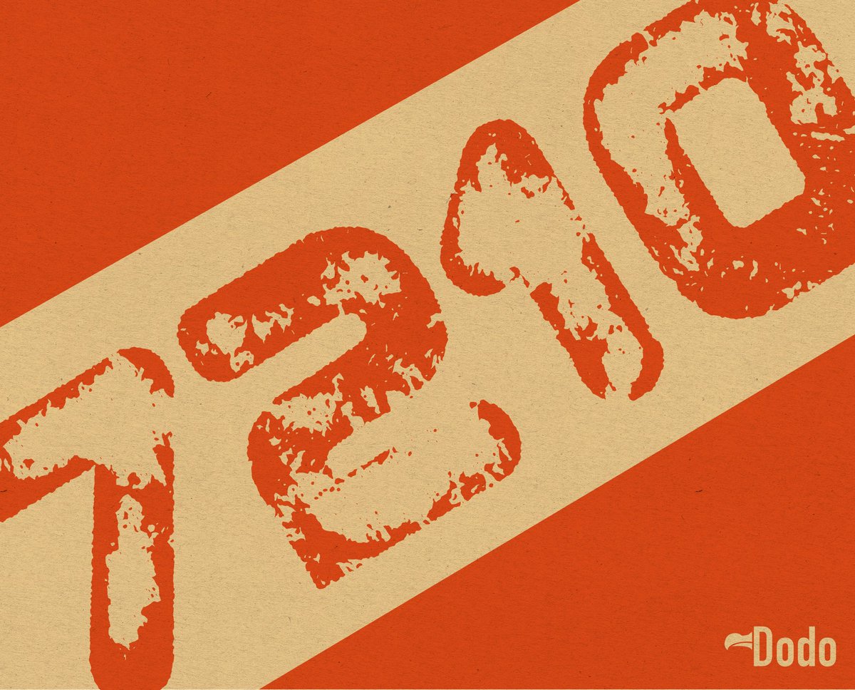 BitDodos 🦤 tweet media