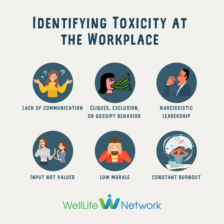 welllifenetwork.org