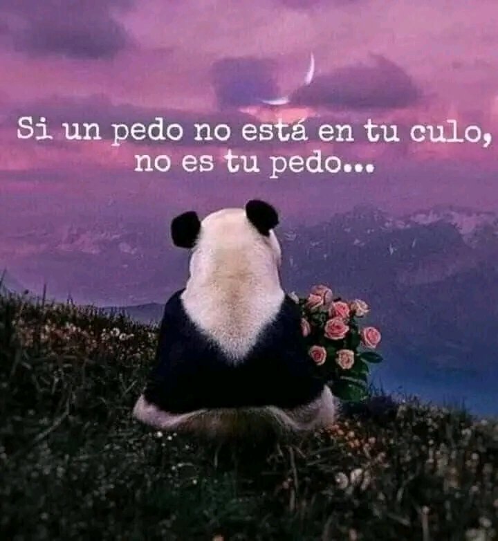 kalyta30's tweet photo. Cuanta sabiduria!!!!! https://t.co/UYGpTFDR3x