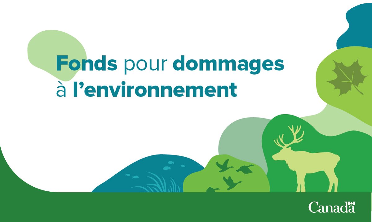 environnementca's tweet image. Vous planifiez un projet environnemental? Le Fonds pour dommages à l’#environnement aide à restaurer, #protéger et #conserver l’environnement au Canada. Près de 13 M$ sont disponibles pour des projets.

Faites une demande avant le 26 juillet 2023 : ow.ly/Wl2150OBfnm