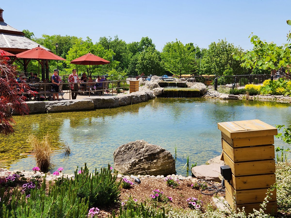 Silverheights 5B Hawks tweet media