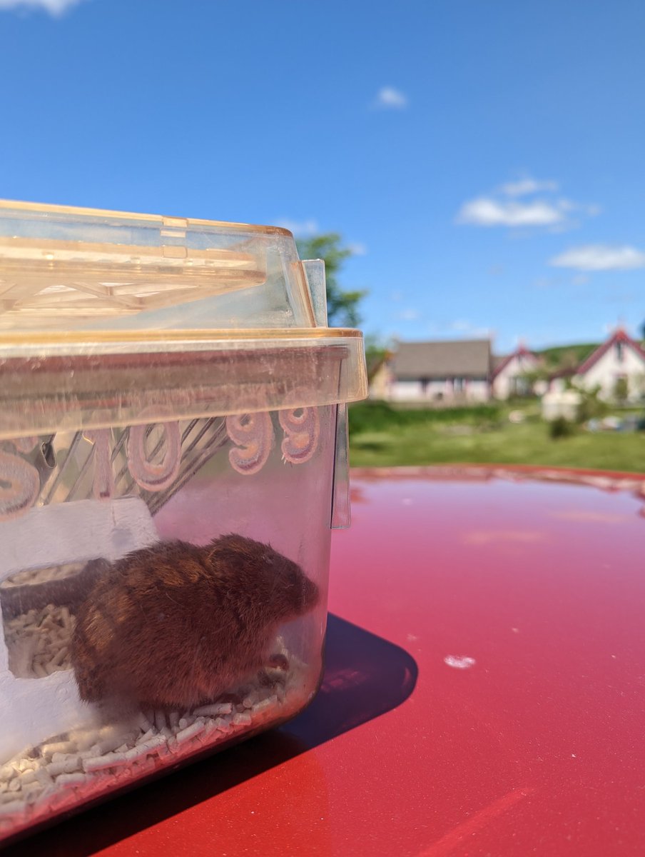 Ophir Lab tweet media