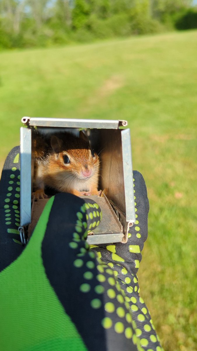 Ophir Lab tweet media