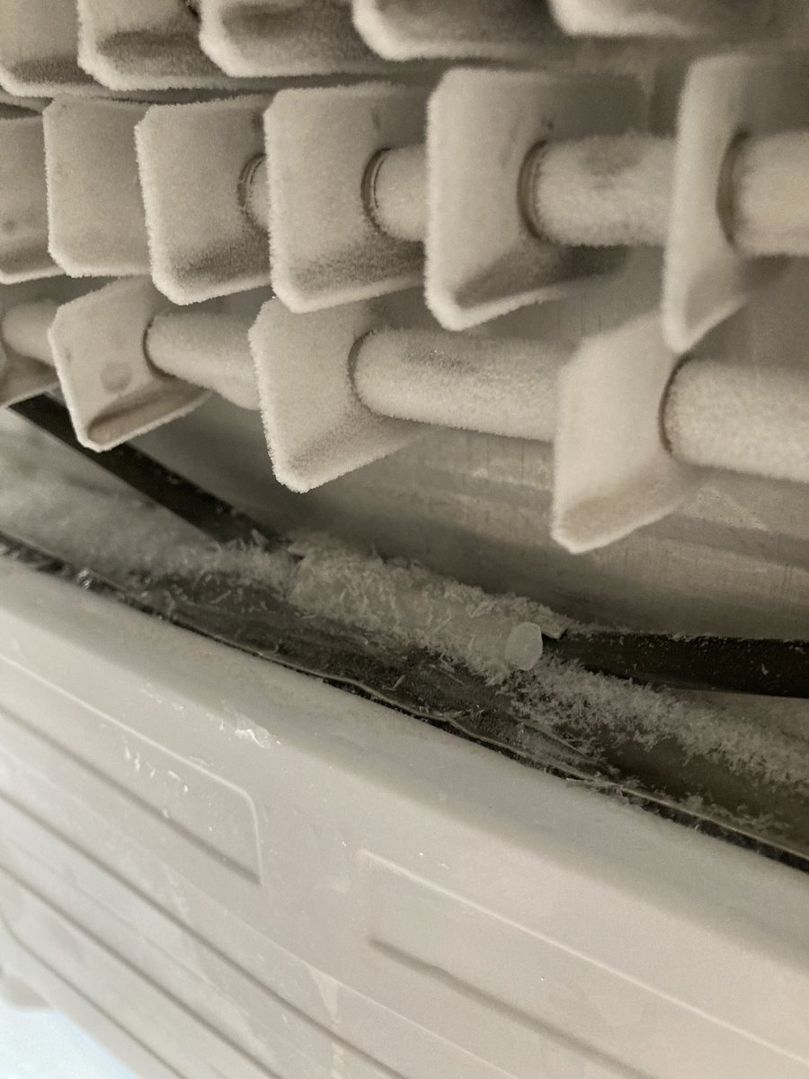 Nikki Rice Malki tweet media