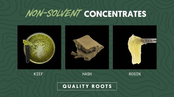 QualityRoots's tweet photo. Concentrates, oils, and extracts - oh my! 🤯 Check out our blog to get the breakdown for each. Read more: https://t.co/WdWQOyftaJ #concentrates #cannabiseducation #highlife https://t.co/KN0nCd4Sso