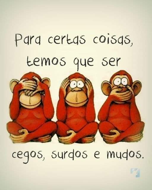 MAIS NÃO BURROS 🙈🙈😄😄