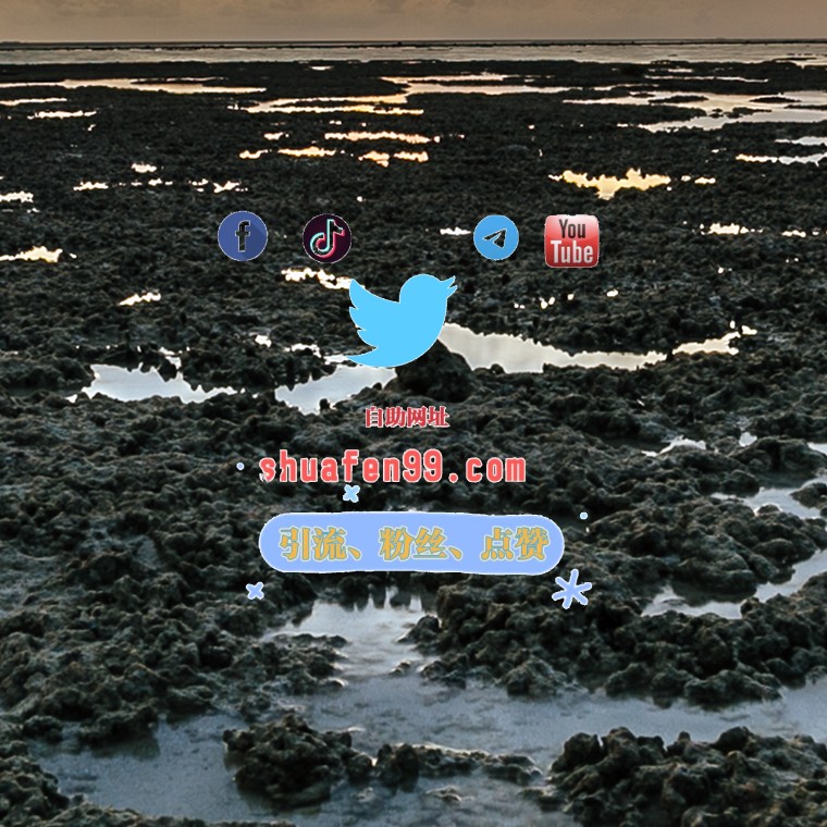 推特粉丝 tweet media