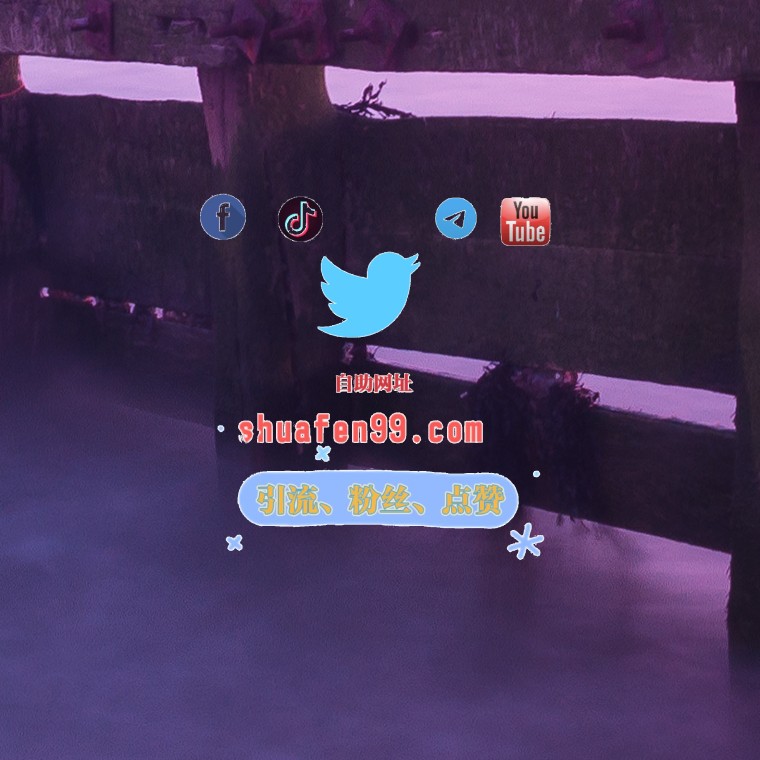 推特粉丝 tweet media