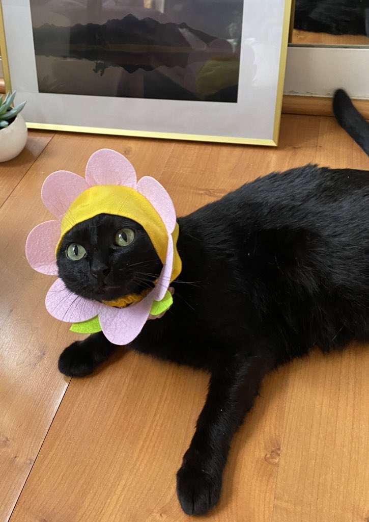 Mi vecina de al lado diciéndome que que bonito me despido siempre de mi novio porque cuando salgo me escucha decir “ya vengo mi vida hermosa, nos vemos en un ratico”

De quien me despido así: