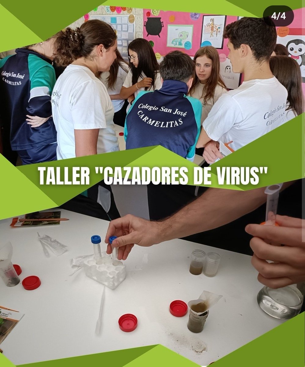 VLC Phage Hunters (@vlcphagehunters) on Twitter photo Hoy, junto con <a href="/FQGalicia/">AGFQ</a>, hemos estado en el colegio Verduna de A Guarda (Galicia) donde todo el alumnado de la ESO ha podido aprender más acerca de la FQ y el potencial de los fagos para luchar contra bacterias multirresistentes 💪🩵 Grazas por todo! Hoy, junto con <a href="/FQGalicia/">AGFQ</a>, hemos estado en el colegio Verduna de A Guarda (Galicia) donde todo el alumnado de la ESO ha podido aprender más acerca de la FQ y el potencial de los fagos para luchar contra bacterias multirresistentes 💪🩵 Grazas por todo!