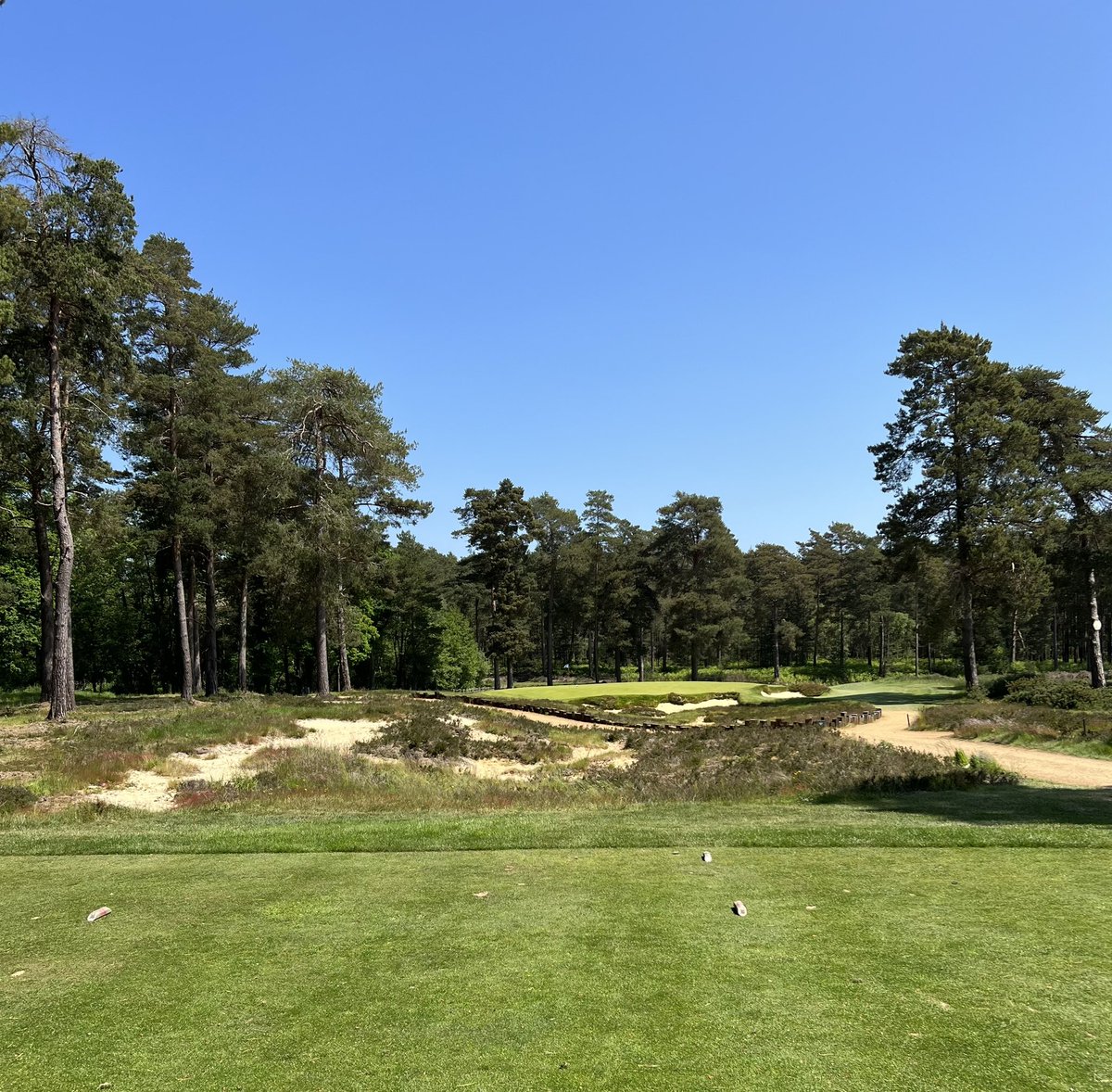 BattleBackGolf tweet media