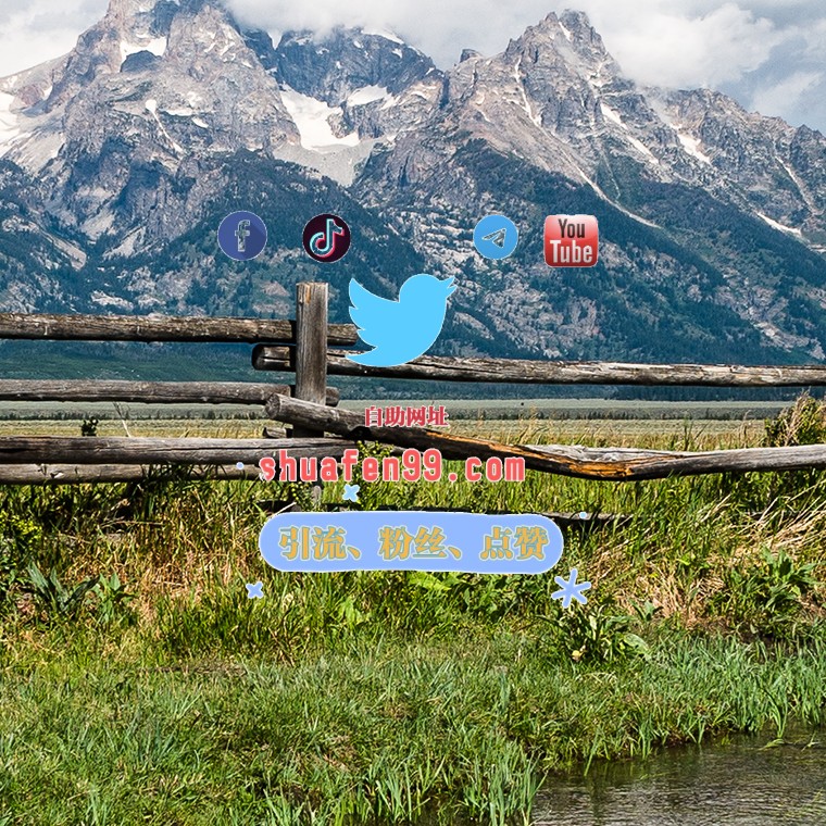 推特粉丝 tweet media