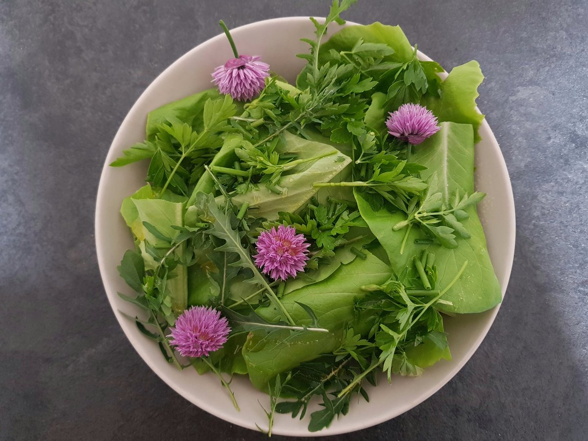 Hannah Boneham (she/her) tweet media