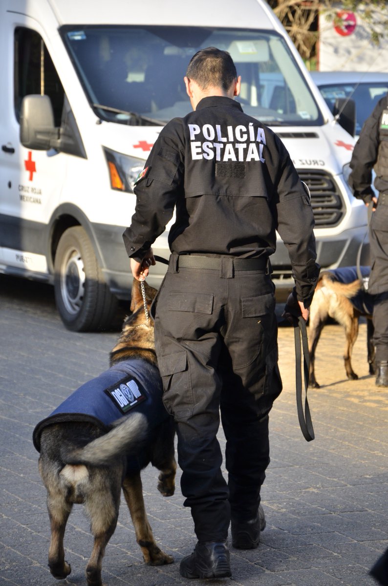 SS_Edomex's tweet photo. Para garantizar la paz y el orden, despliega #SSEdoméx operativo con motivo de las próximas elecciones para la gubernatura de la entidad.
Se destinará un estado de fuerza de 12 mil 200 #PoliciasEstatales 👮🏻♀️👮🏻♂️ y mil 386 unidades que se encontrarán en puntos estratégicos. https://t.co/vJL5tZSv8F