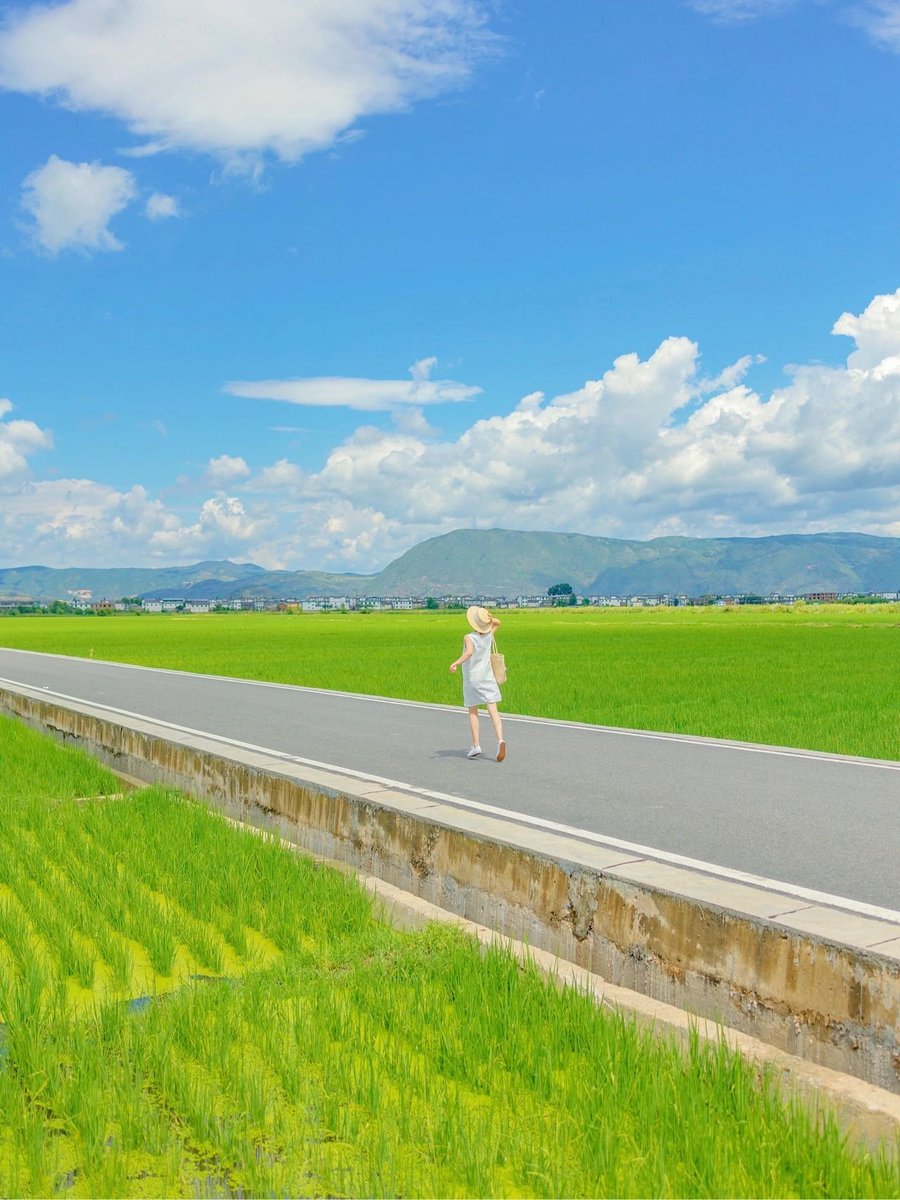 colangeloTest's tweet image. 