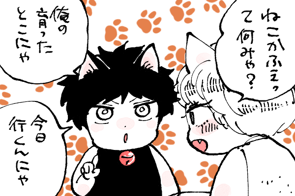 🐱キラキラにゃんこ生活 ゆっくりするのも好き☺️