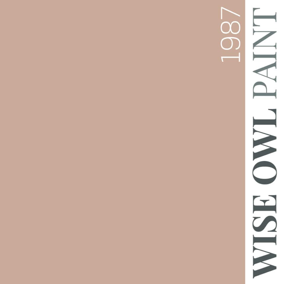 Mariola265's tweet image. 1987 One Hour Enamel Paint - Wise Owl Decor Paint - Kitchen Cupboard Paint - Bathroom Vanity Paint - Furniture Paint - 32oz quart etsy.me/3IPawGE #dollhousesminiatures #wiseowlpaint #decorpaint #wiseowl #1987paint #onehourenamel #vintagepink #furniturepaint