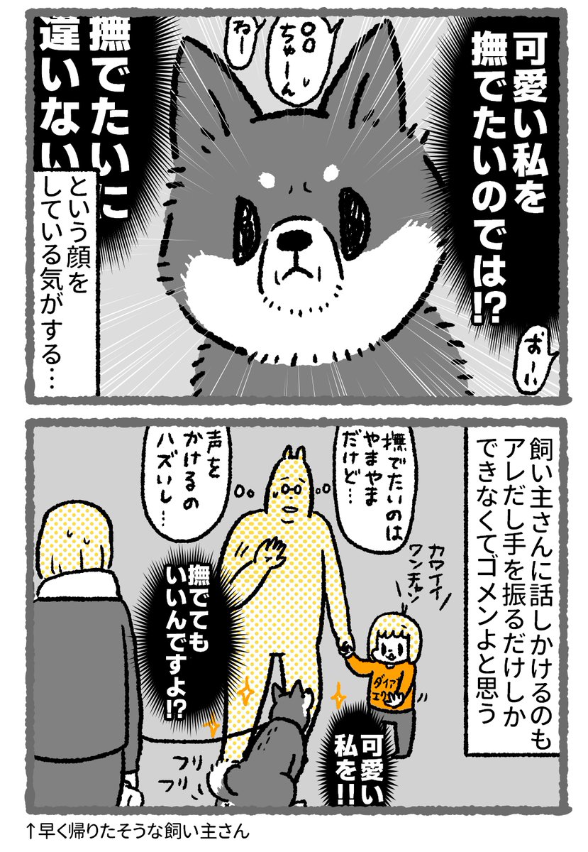 【漫画】社交的な犬に遭遇するとこうなる 大体こういうワンコは眼力が強い気がする(かわいい)  #コミックエッセイ #漫画が読めるハッシュタグ