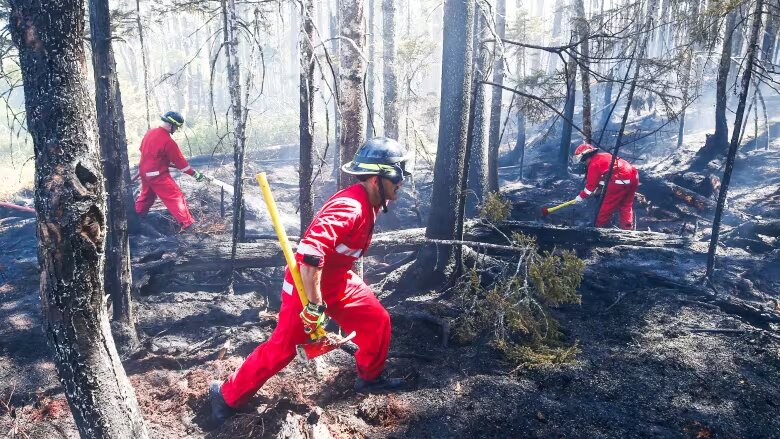 If anyone doesn't know my home province of Nova Scotia has been battered with insane forest fires leaving many people without homes and displaced

thankfully lucky enough to be safe

but wanna use my platform to help those less fortunate

link below if anyone wants to donate to
