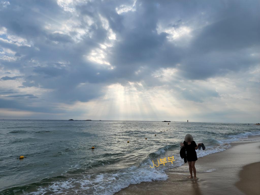계정 날아가서 다시 시작합니다.
트위터 왕짜~~~