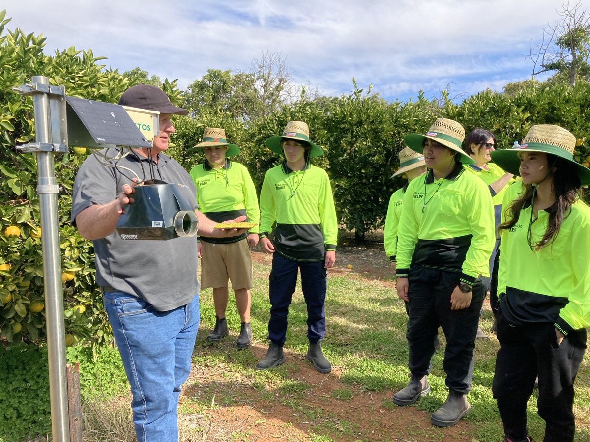 Northern Mallee LLEN tweet media