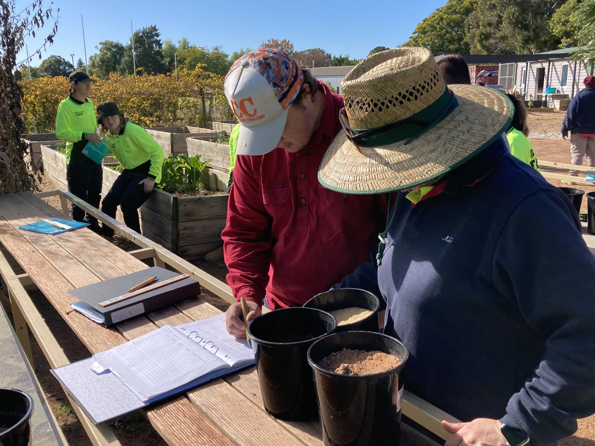 Northern Mallee LLEN tweet media