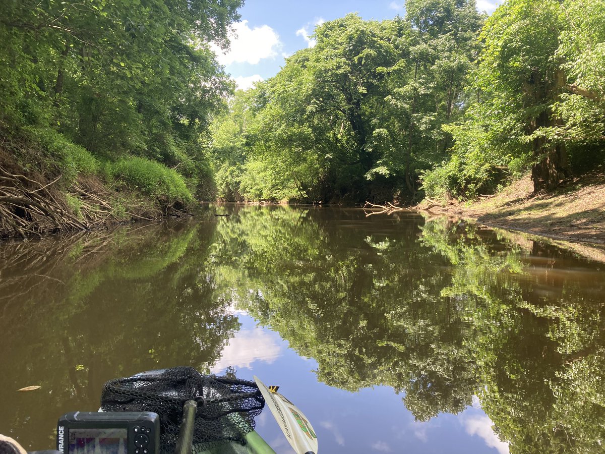 A day to enjoy and have a look around. I watched spotted gar slash at baitfish, I saw a hawk mess with a duck and there wasn’t a care in sight.

I had the ramp and river to myself. Did I stop and take a few casts? Sure. But the goal was to fish for fun, and that’s what I did.