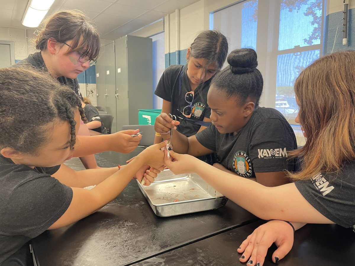 Shari Insley (@sinsley4) on Twitter photo <a href="/NOCSEagles/">NorthOlmstedSchools</a> had an amazing day <a href="/stonelab/">Stone Laboratory</a>! From using the Hydrolab <a href="/ILINSeaGrant/">Illinois-Indiana Sea Grant</a> in the middle of Lake Erie to standing on glacial striations to trawling and dissecting fish!  Thank you to our awesome @SITESProgram students <a href="/XBalson/">Xavier Balson</a> and @Jamesk_19 for joining us on our epic trip! <a href="/NOCSEagles/">NorthOlmstedSchools</a> had an amazing day <a href="/stonelab/">Stone Laboratory</a>! From using the Hydrolab <a href="/ILINSeaGrant/">Illinois-Indiana Sea Grant</a> in the middle of Lake Erie to standing on glacial striations to trawling and dissecting fish!  Thank you to our awesome @SITESProgram students <a href="/XBalson/">Xavier Balson</a> and @Jamesk_19 for joining us on our epic trip!
