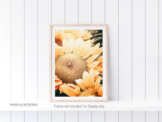 Sunflower and Bee Print for Farmhouse Bathroom, etsy.me/3Isygzn #honeybee #farmhousewallart #sunflower #sunfloweraesthetic @etsymktgtool