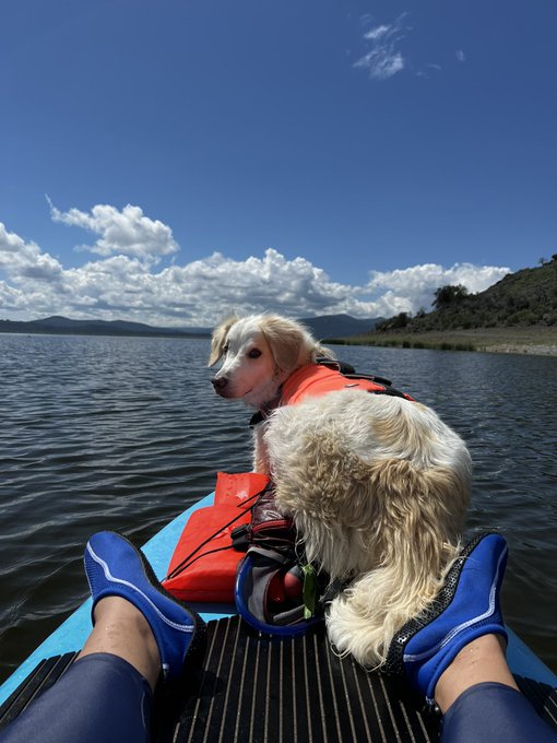 Had an incredible paddle with the best floofer 🐾🐾🐾in the land! https://t.co/z9c8yrByI9<a href="/tag/xhamster"class="tags"><span>#xhamster</span></a>