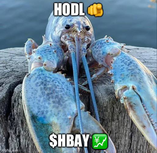 mush_202's tweet photo. @Collectxrnft $HBAY https://t.co/0eq1ot9PPZ