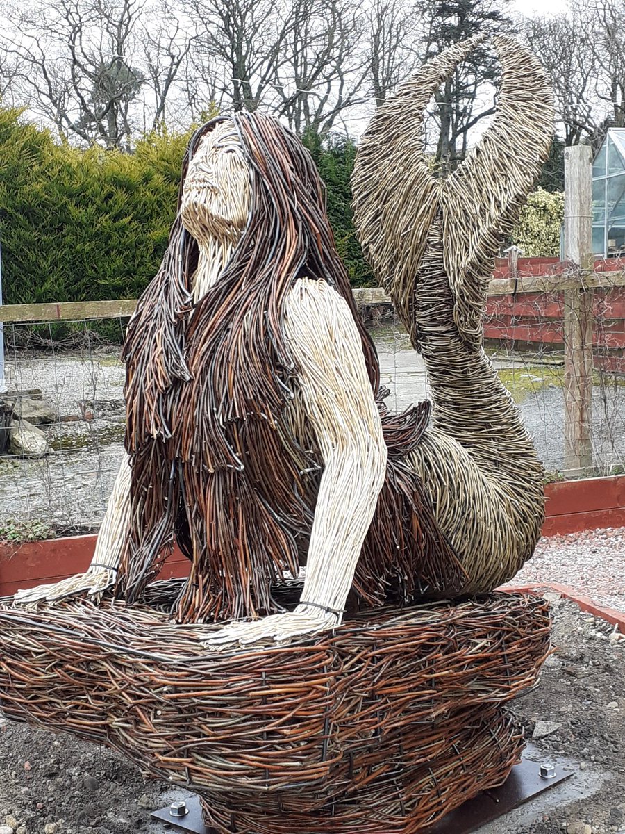 @ScotlandHour @VisitScotNews @beccaonthewing @ScotBiosphere A6 Pollinator #Blines And #Mermaid