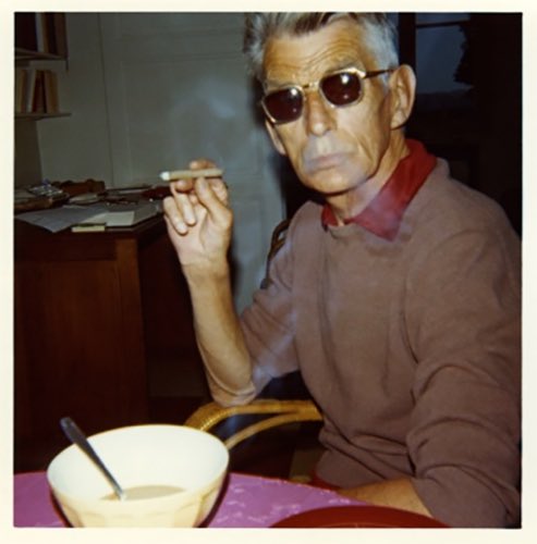 Judith Wilkinson tweet media