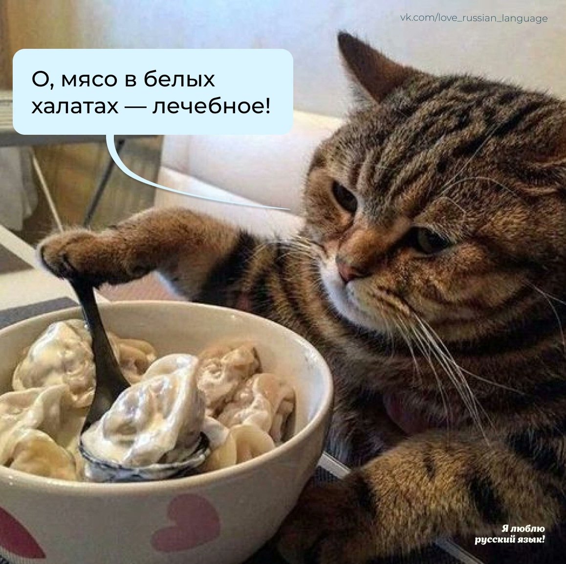 g_o_n_z_o's tweet photo. Теперь только так называть буду https://t.co/BoQ5wFdgVr
