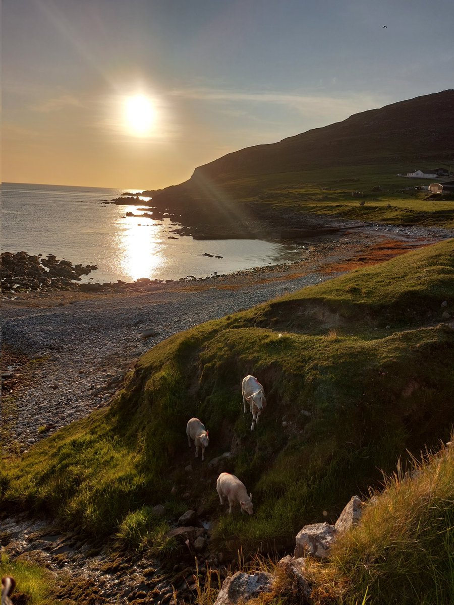 Rosieekelly28's tweet photo. Last evening in May dander...
#Dunaff
#Donegal
#stormhour https://t.co/Kqi50NMTbu