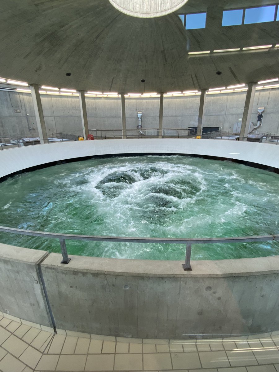 Mario_J_Franca's tweet photo. More photos from our second day of visits of the Water Science and Engineering field trip!

Donausprung - the origin of the Danube https://t.co/QsYtigYPGz

Bodensee 

Bodensee - Wasserversorgung - https://t.co/SQPoEV5AnT

@KITKarlsruhe #TheodorRehbockLabor https://t.co/ksAGn8HMAx