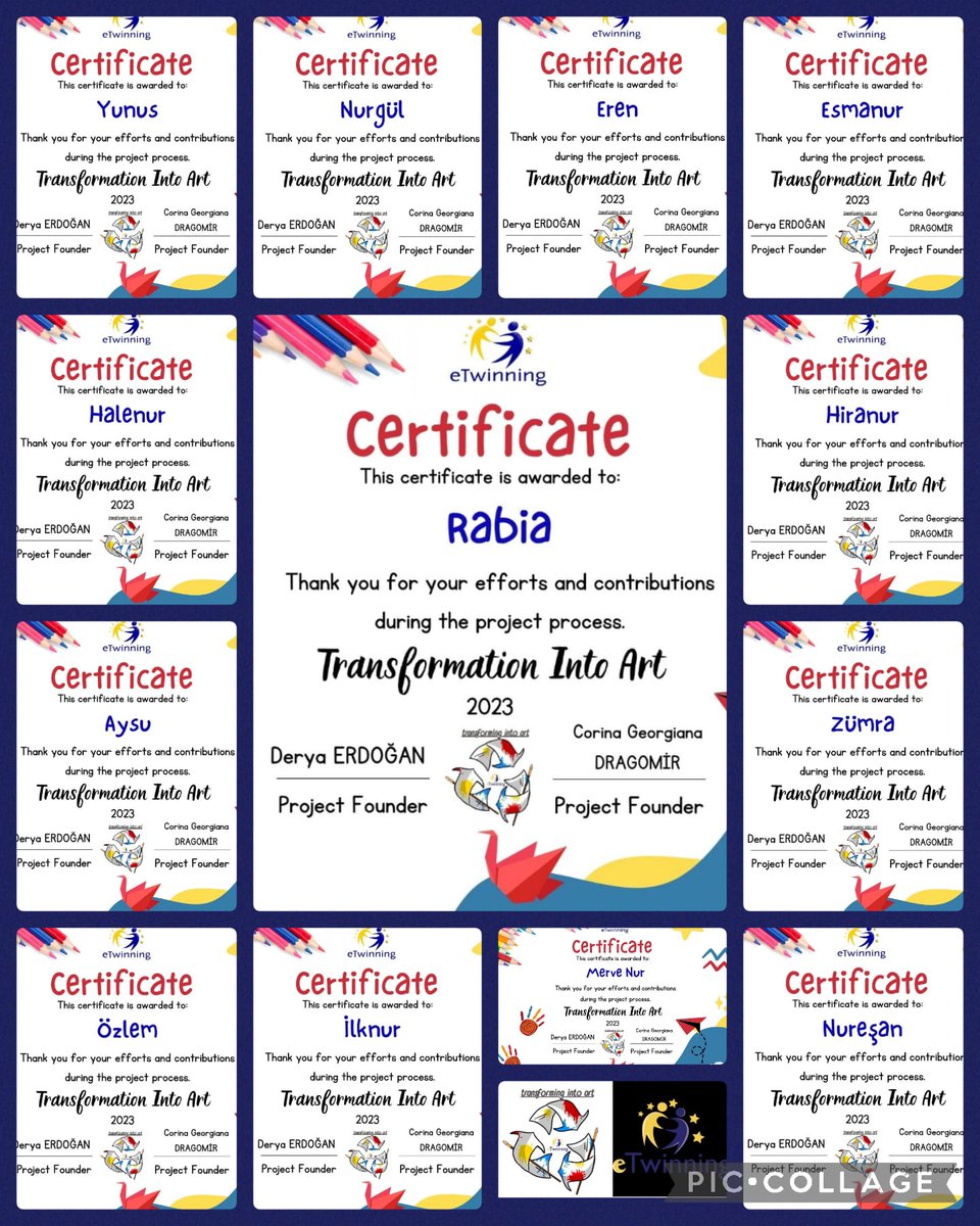 Semiha Tekman-Fatih Ortaokulu-Transformation Into Art Öğrenci sertifikaları