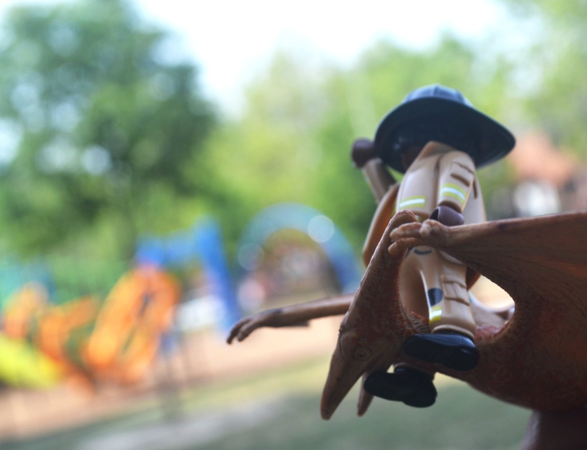 mrs_pickron's tweet photo. Last week, #DESPhotoKids used #aperature settings to create a shallow #DepthOfField. This resulted in background features being out of focus to varying degrees. We are smarter than portrait mode! Who doesn't love depth and dinos? Next up, long exposures! https://t.co/F1Y78AVTT1