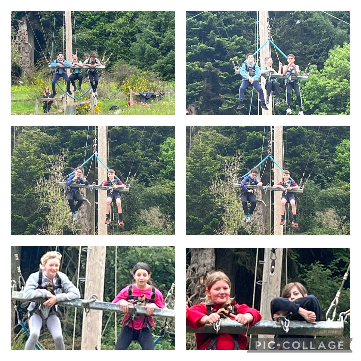 Miss Lynch tweet media