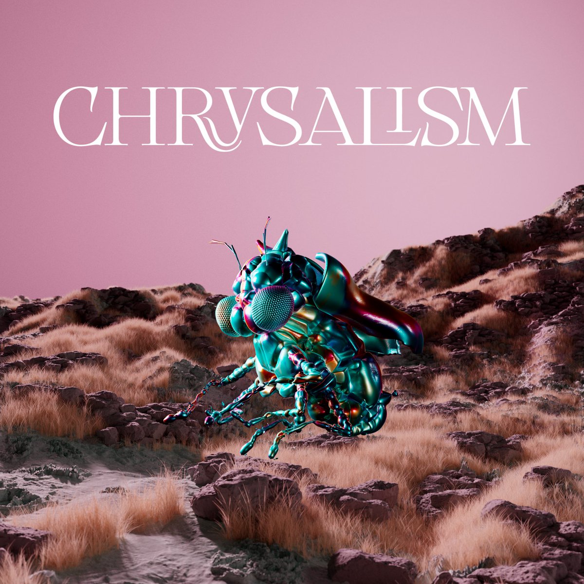 This June get ready to explore the fascinating world of insects and their symbolic significance.

Stay tuned for intriguing facts, teasers and the enchanting connection between insects, zodiac signs, and our unique art pieces ✨🌱🐛