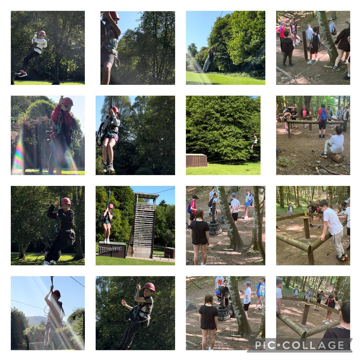 Miss Lynch tweet media