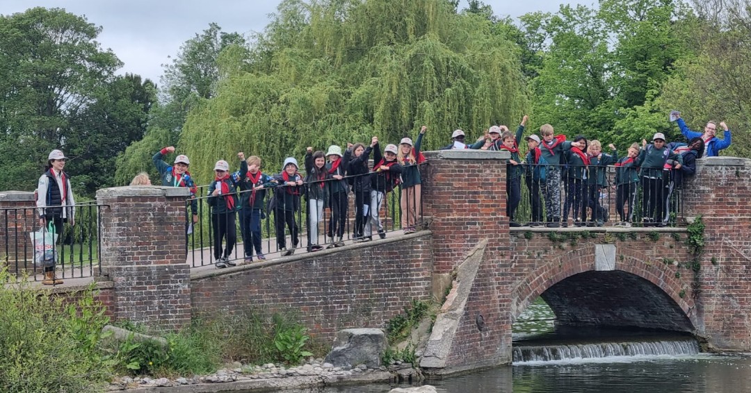 Sutton Scouts tweet media