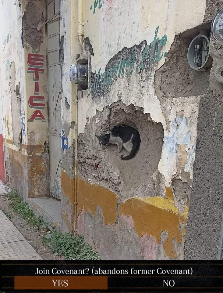 berserksouls tweet media