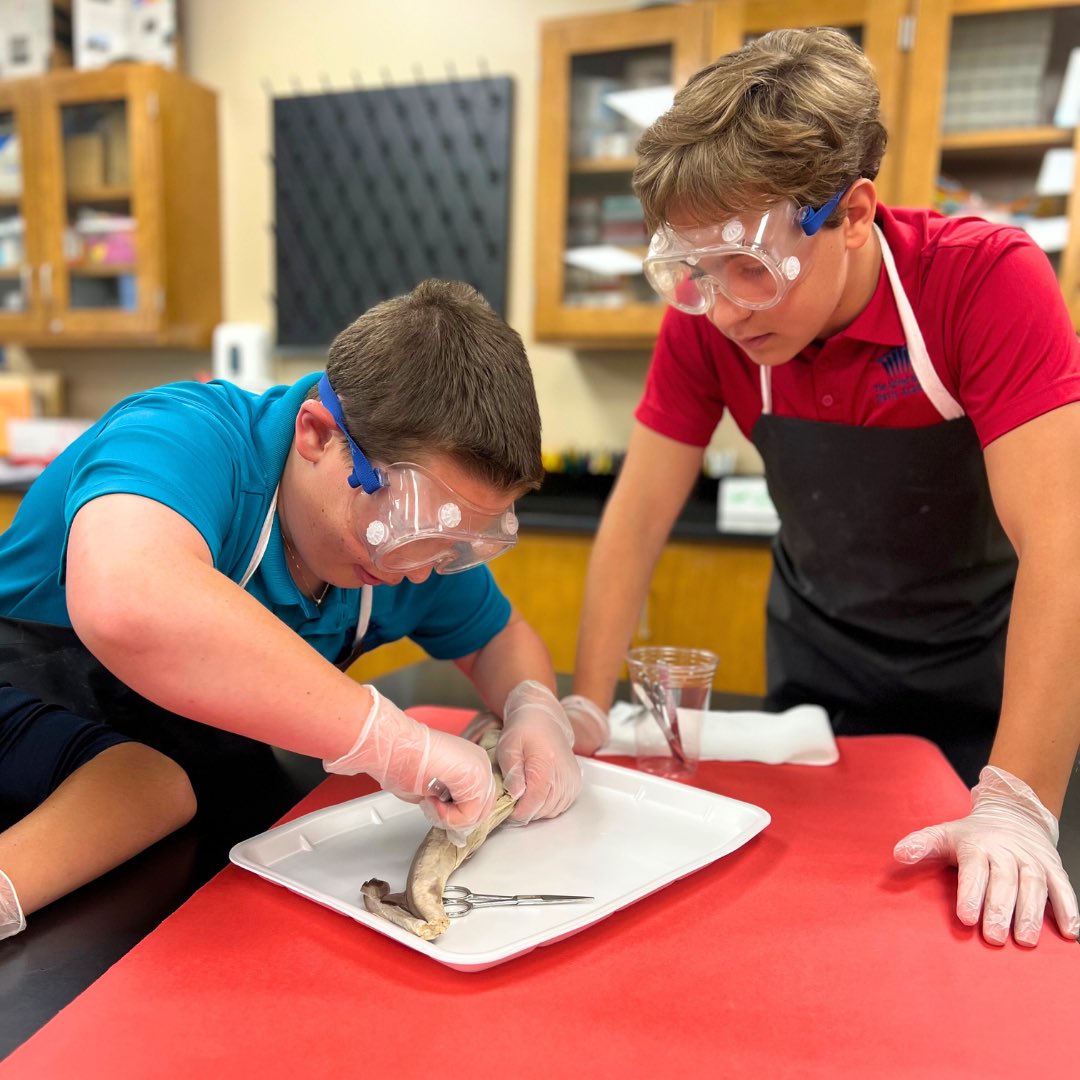 Seventh graders completed the most anticipated lab of the year! It allowed students to identify various organs of a shark and connect them to the concepts learned in the body systems chapter. #DavisLove #BeAmazed
