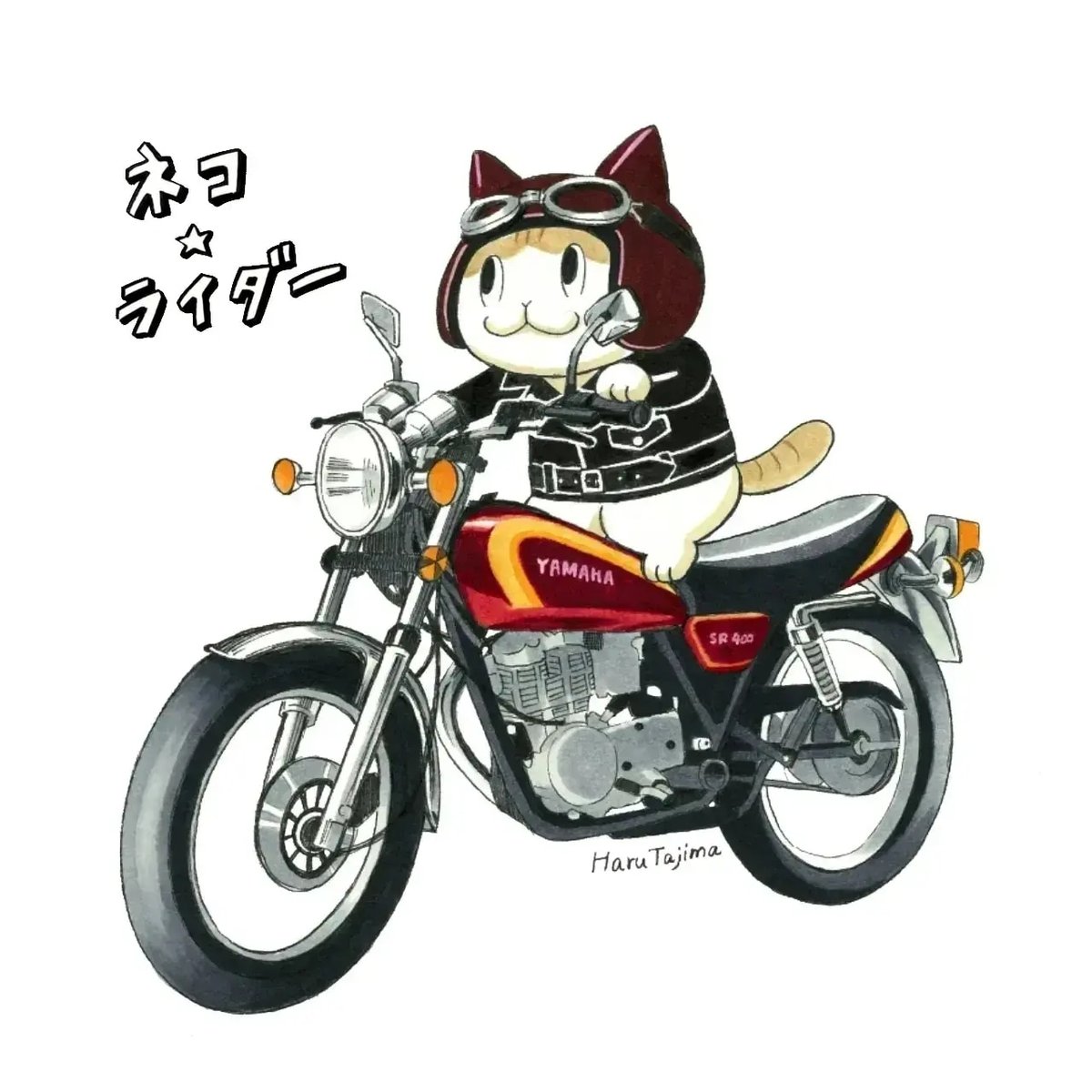 ground vehicle motor vehicle motorcycle no humans cat goggles white background  illustration images